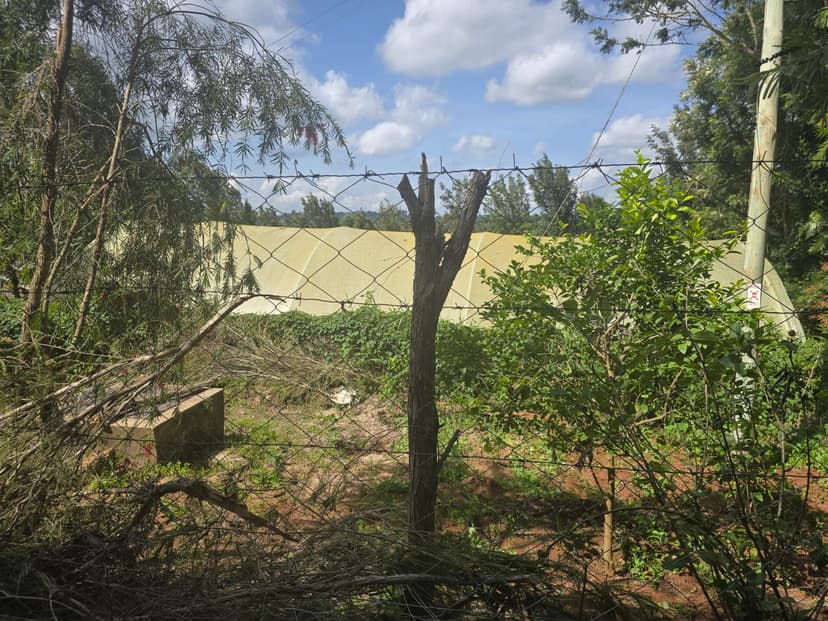 Modern irrigation keeps crops healthy