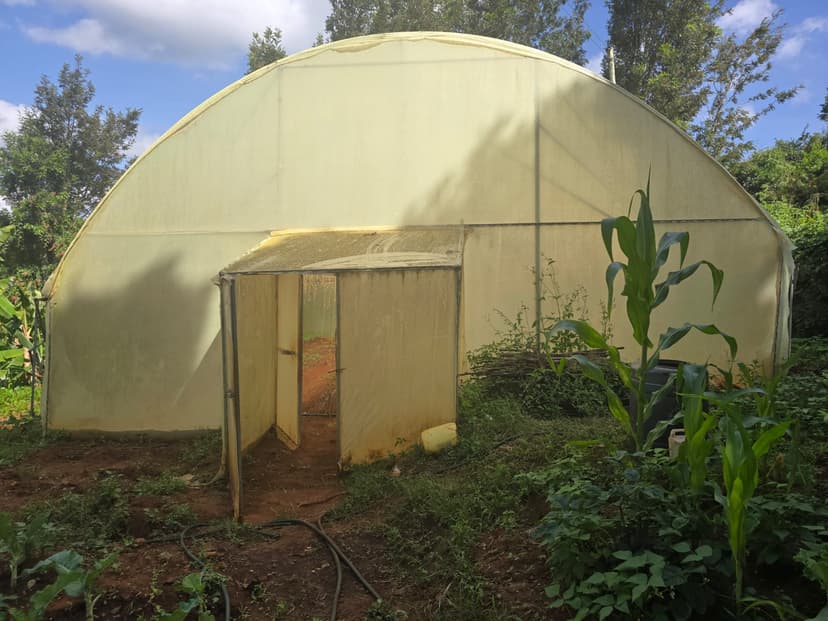 How we support smallholder farmers