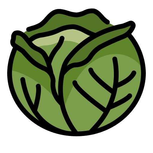 Cabbage Farming