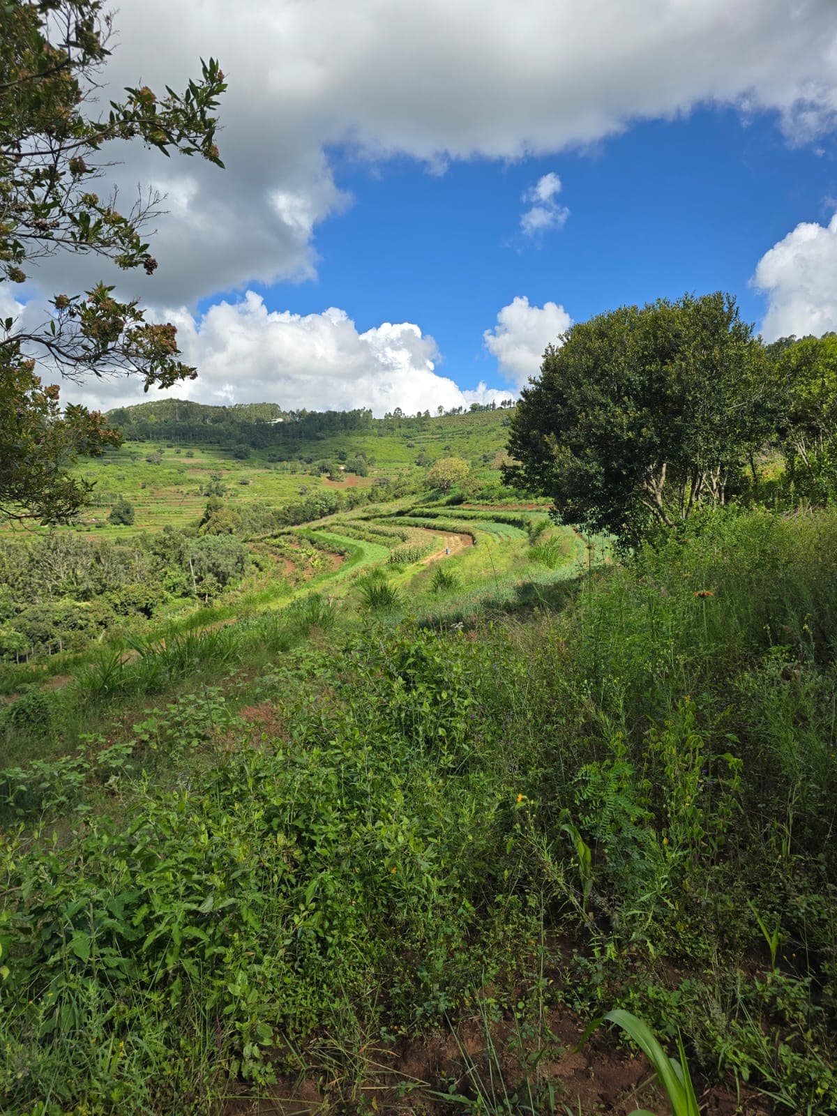 Faithlink Farm